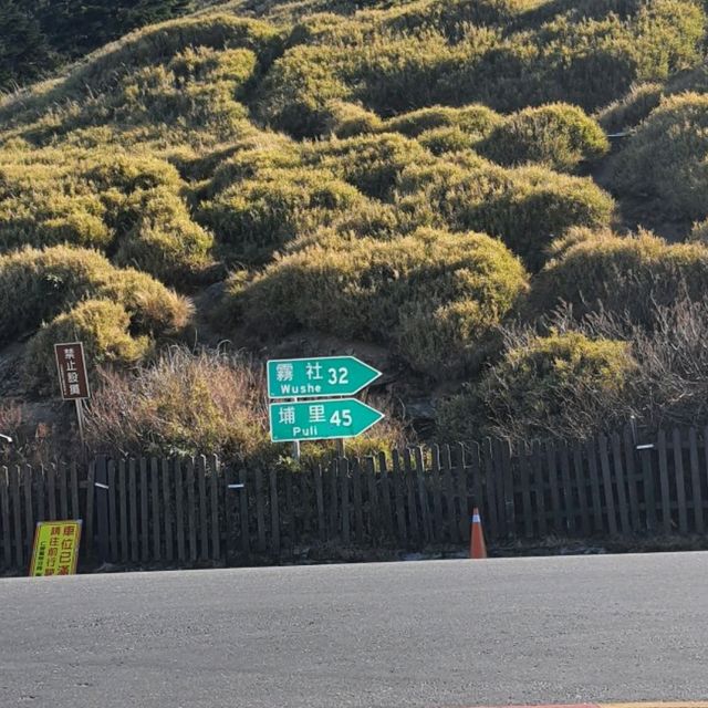 一覽高山遠景【合歡山國家森林公園】