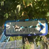 Zoo Safari in Fasano, beautiful experience 