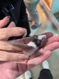 고양 놀거리 2탄 ‘테이블에이‘&‘원당종마목장’&계단라멘‘