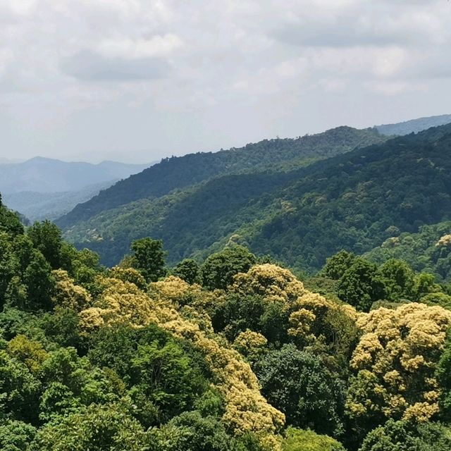 The First Valley Coffee Academy 