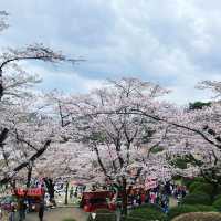 四季様々な顔を見せる　宇都宮　八幡山公園