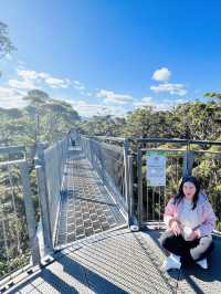 Valley of the Giants 🇦🇺🌏 TingleTrees400yrs