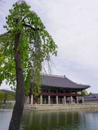 Meet me at Gyeongbokgung Palace 💫