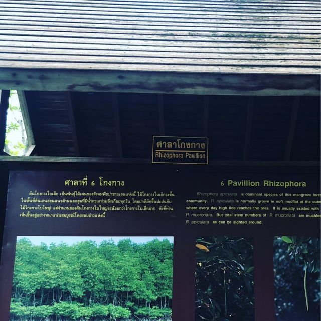 เที่ยวชิล แบบสโลว์ไลฟ์ ที่ อ่าวคุ้งกระเบน