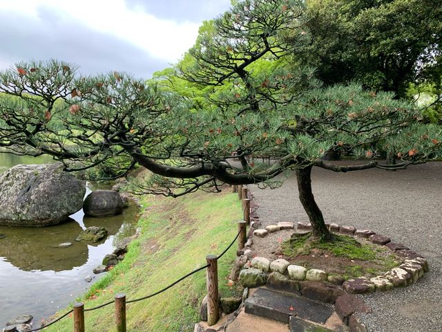 熊本　熊本観光　熊本の癒しスポット水前寺成趣園に行ってきた！