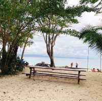 馬來西亞🇲🇾沙巴馬努干島🏝️島上野生動物🦎巨大蜥蜴🦎