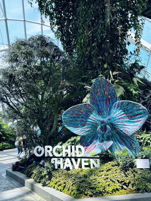 新加坡🇸🇬濱海灣花園阿凡達展