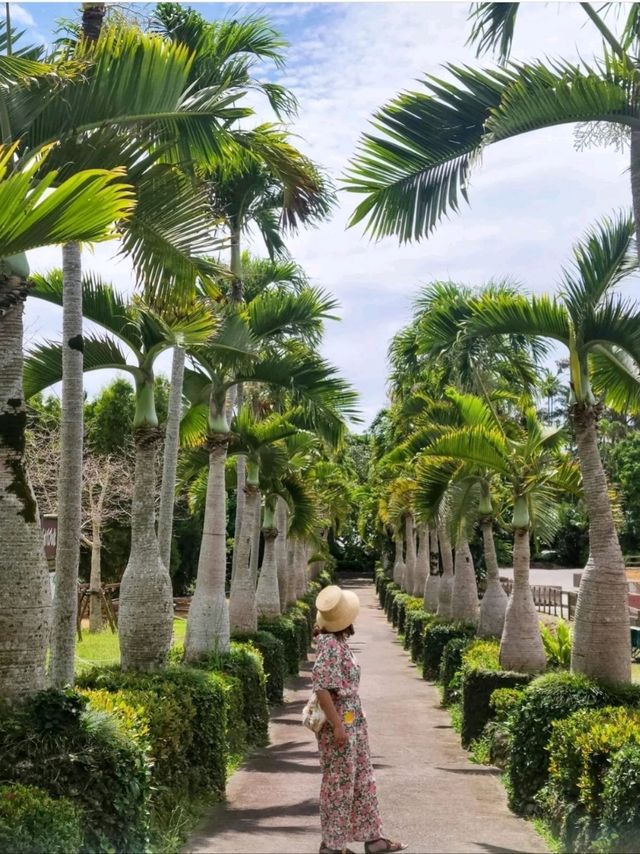 【沖縄】美らヤシパークオキナワ・東南植物楽園