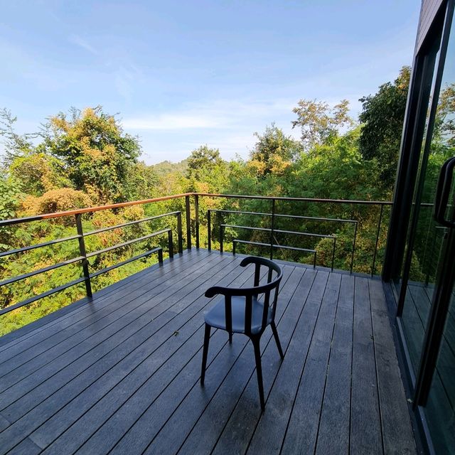 รีวิว โรงแรม The Paz Khaoyai 