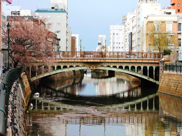 Cherry blossom at nara bridge,Nagoya