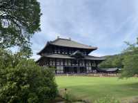 🎋奈良「東大寺」：探索古代佛教文化的代表性景點✨