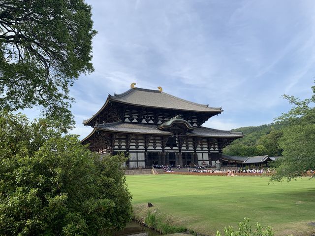 🎋奈良「東大寺」：探索古代佛教文化的代表性景點✨