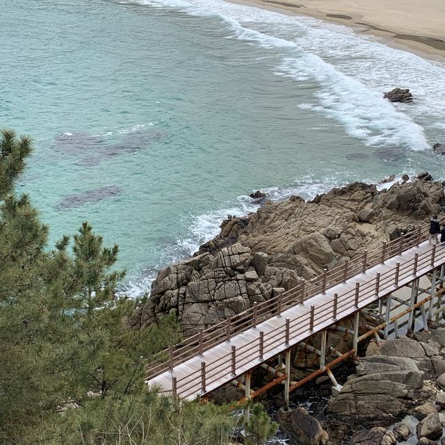 맑고 깨끗한 동해 바다를 한눈에 볼 수 있는 양양 하도대 전망대 🐠