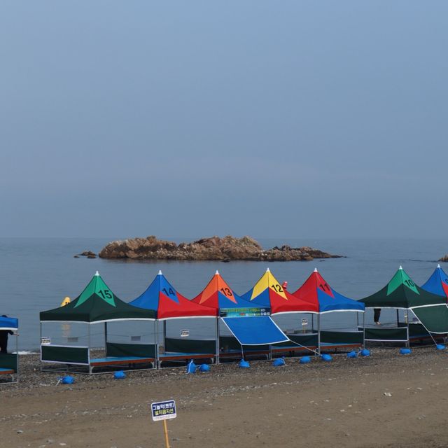 경주 역사 여행, 경주문무대왕릉🌊