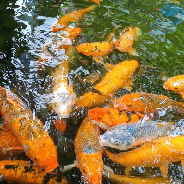 廣東四大名園之春暉園