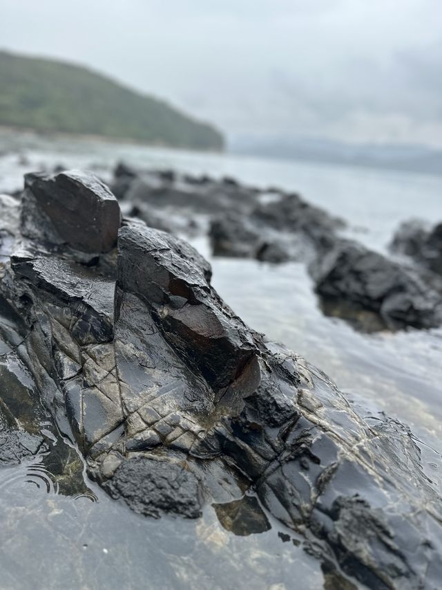 《香港》天然黑寶石🖤｜出海🚣🏽‍♀️去荔枝莊一日遊