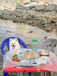 우리집 아이도, 강아지도 모두 즐거운 계곡 맛집 추천🩵 