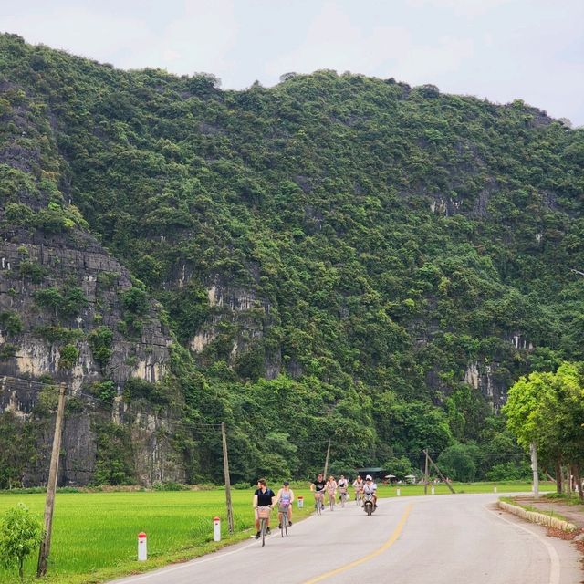 Ninh Binh's Idyll ❤️