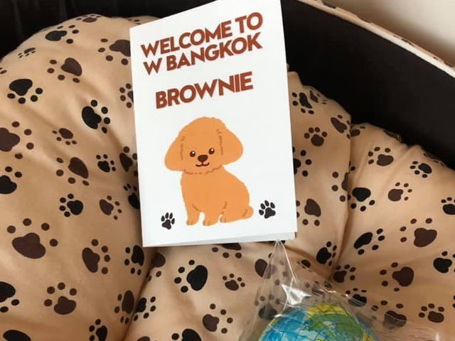 W Bangkok มนุษย์พักได้…มะหมาพักด้วยยย 🐶