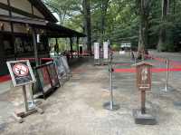 東京・文京区。江戸二大庭園の一つ『六義園』
