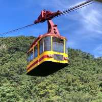 ［釜山］一小時來回快閃登山～金剛山纜車之旅