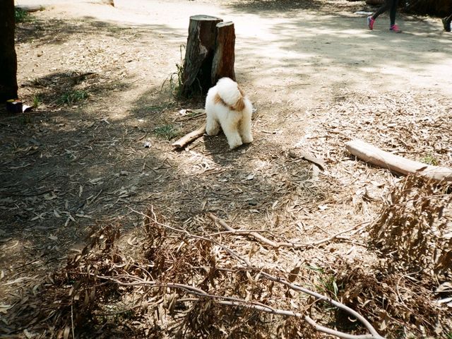 南生圍一日遊