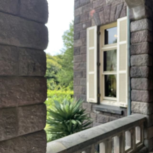 花與和諧的完美結合！舊古河庭園🌹🏰🌿