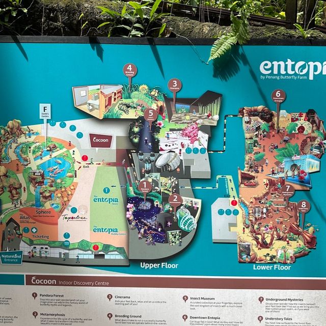 Entopia by Penang Butterfly Farm Entopia Tama