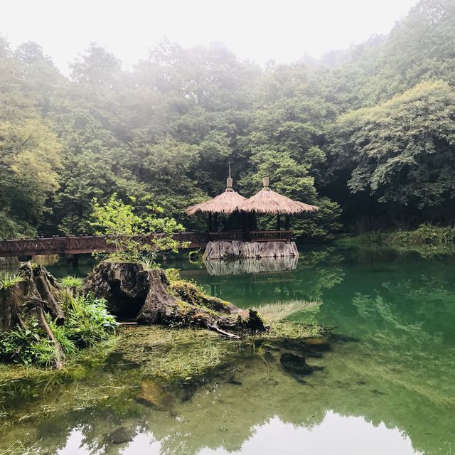 人間仙境 雲霧繚繞的姊妹潭