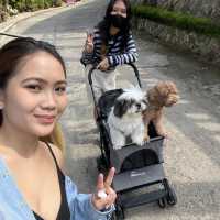 EXPERIENCE EUROPE IN TARLAC!