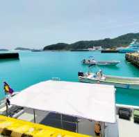 【沖縄 座間味島】ケラマブルーの海でシュノーケリング🌊🌺