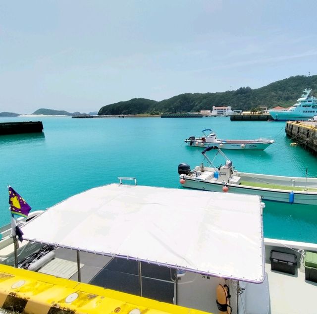 【沖縄 座間味島】ケラマブルーの海でシュノーケリング🌊🌺