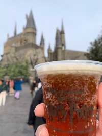 The Wizarding World Of Harry Potter 🧹✨