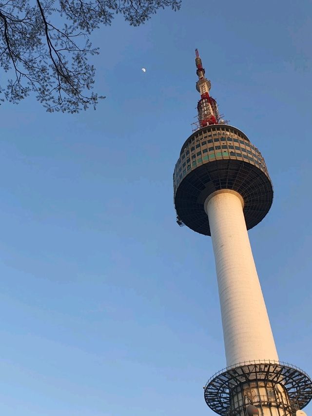 서울의 트레이드마크 남산타워🌃