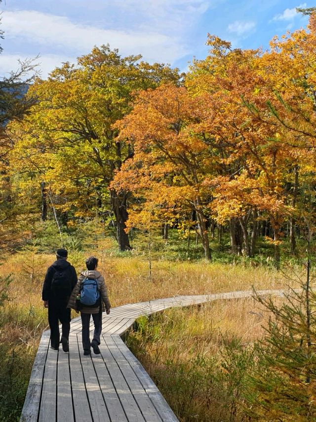 주젠지코,센조가하라트레킹 15km