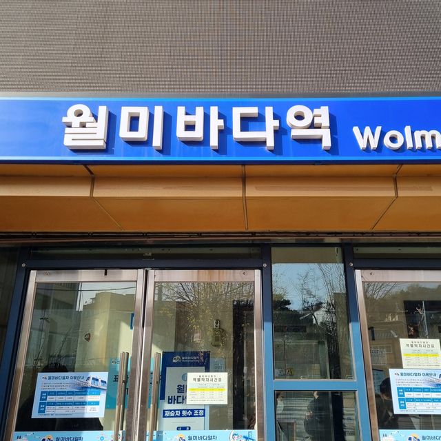 인천 월미바다열차로 찐 감성 여행을 즐기세요