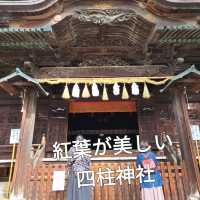 【見どころ】　紅葉が美しい映える神社
