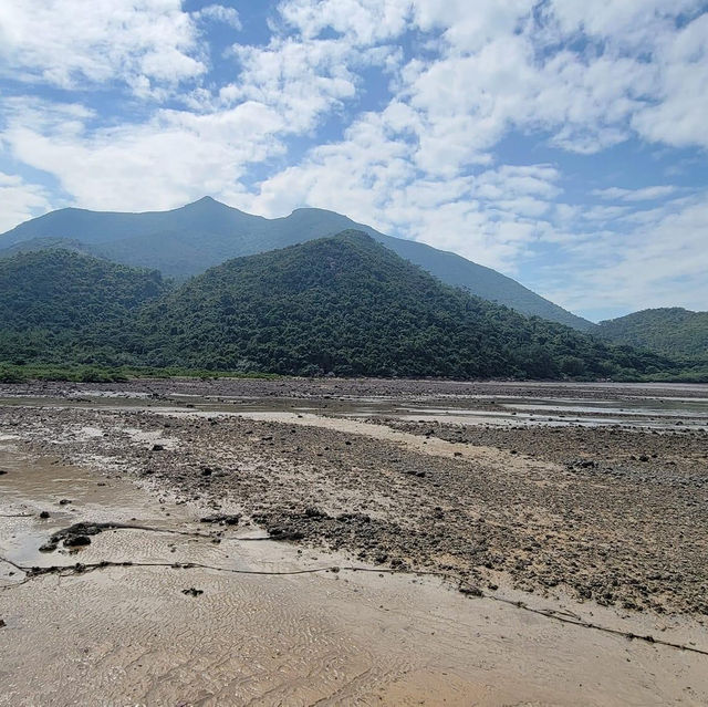 簡單易行親子路徑 簡單易行親子路徑