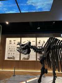 1 วัน ชม National Taiwan Museum ในวันฝนตก