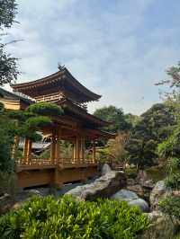 一人之境🙌🏻在鑽石山遊京都金閣寺😁