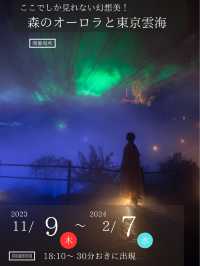 【日本でオーロラが見れる！？✨】椿山荘ではオーロラと雲海が同時に見れる！😳