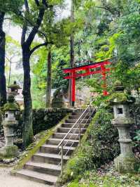 【島根県/玉作湯神社】2023年行ってよかった！島根県の神社①
