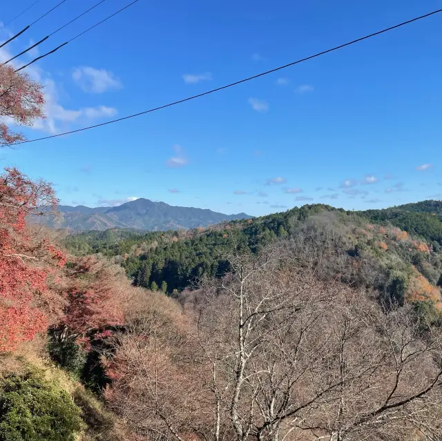 吉野山へ行くときは桜の時期はもちろんのこと、紅葉シーズンもおすすめ！鴨うどんと葛餅をいただきながら、世界遺産も巡りました