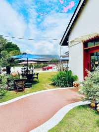 Hillrise Coffee 16 Canning Garden