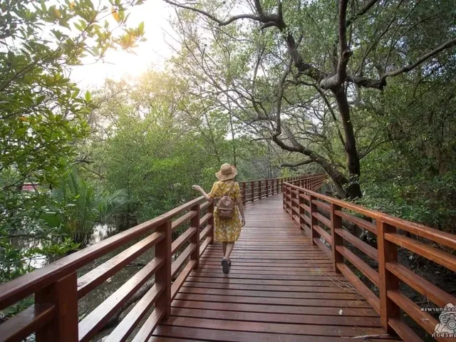 สะพานป่าชายเลน ระยอง