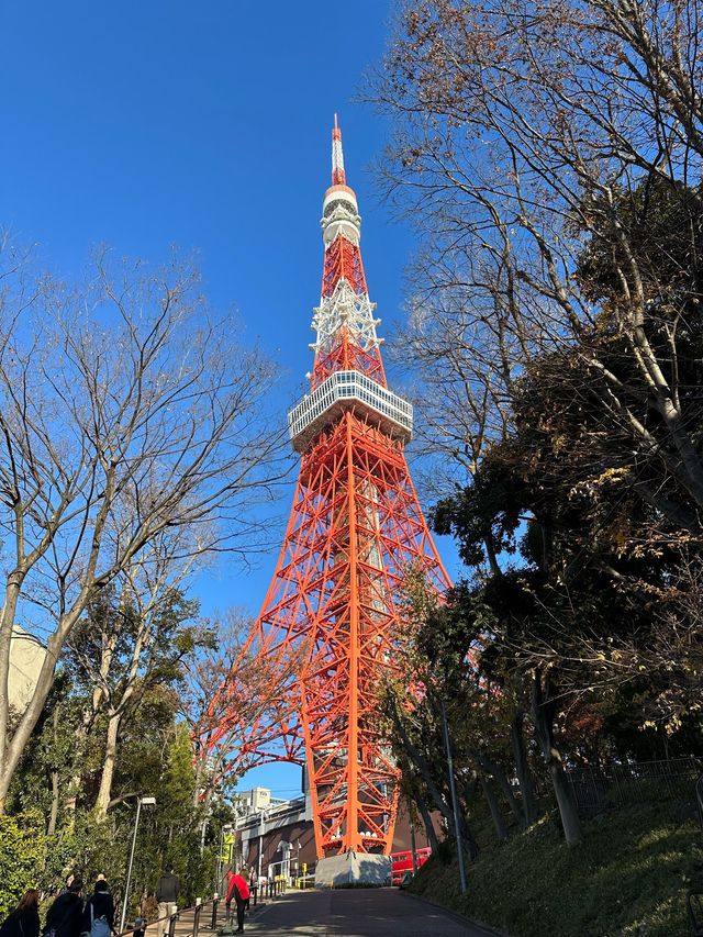 🇯🇵日本人「通勤」路線 🏃🏾‍♀️港區跑向東京鐵塔 🗼