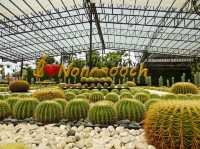 สวนนงนุช พัทยา จ.ชลบุรี 🌴🌴🌴