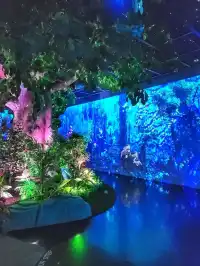 겨울 경주에서 만난 영화 아바타속 비밀의 숲🌳