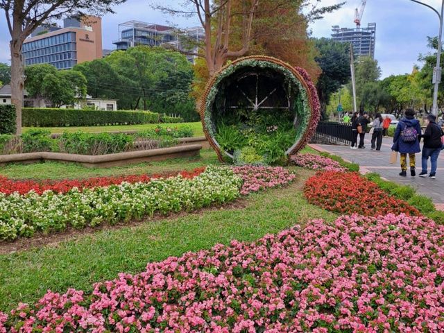 浪漫的士林官邸玫瑰園⚘️🌹各種玫瑰等著你來欣賞❤️