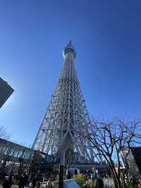 東京観光に外せないスカイツリータウン